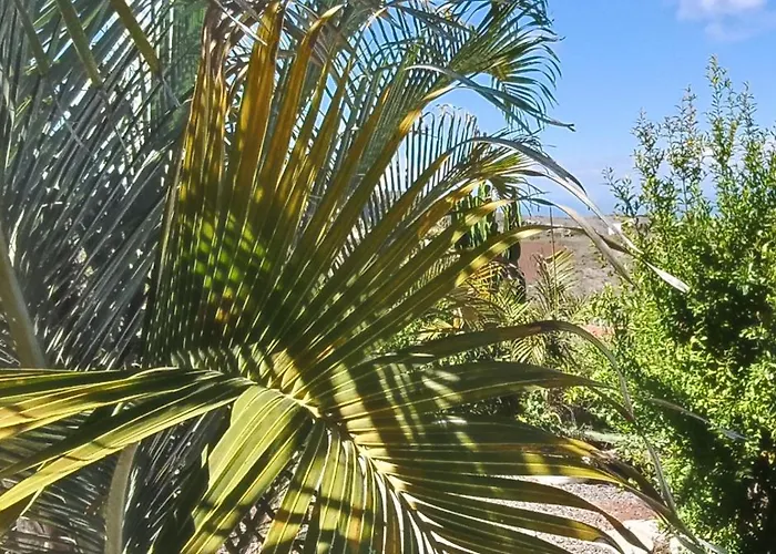 Gran Canaria La De Carmelita Y Bartolito