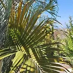 Gran Canaria La De Carmelita Y Bartolito
