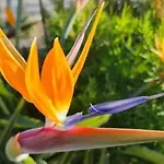 Gran Canaria La De Carmelita Y Bartolito Вілла Лас-Пальмас-де-Гран-Канарія