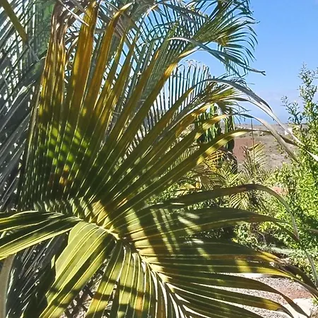 Gran Canaria La De Carmelita Y Bartolito