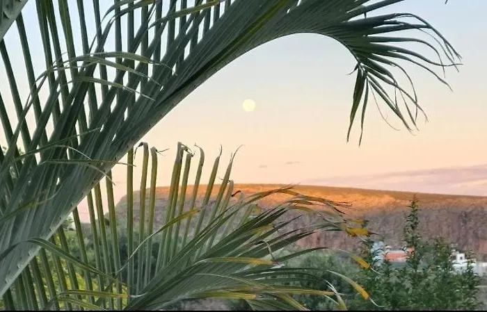 فيلة Gran Canaria La De Carmelita Y Bartolito